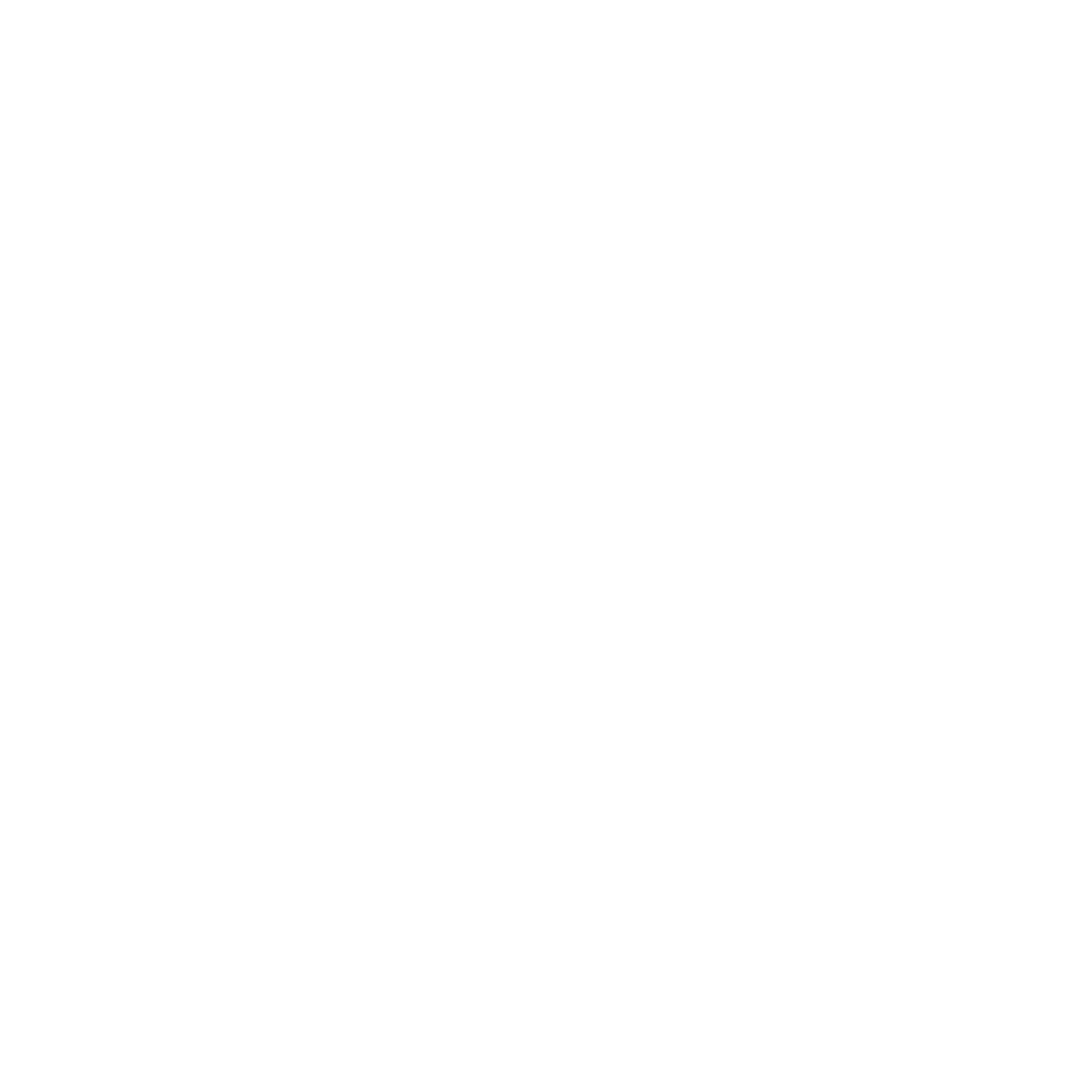 Logo White